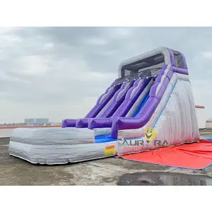 नई डिजाइन आउटडोर वाणिज्यिक सस्ते 20FT बैंगनी रॉक दोहरी डबल लेन Inflatable बाउंसर बिक्री के लिए पानी स्लाइड उछल उछालभरी