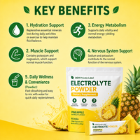 Poudre d'électrolytes pour adultes, hydratation rapide, apport d'énergie avant l'entraînement, différentes saveurs, 16 sachets, OEM ODM HALAL