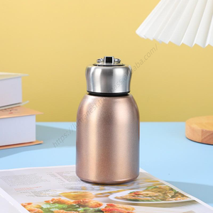 Bouteille isotherme portable en acier inoxydable de 300 ml pour étudiants, avec couvercle et poignée, personnalisable, vente en gros - Product Image 5