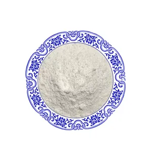 Best price Organic Garlic Extract Powder food grade 25% allicin Garlic Extract
