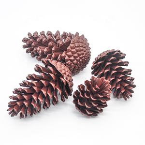 Vente en gros <span class=keywords><strong>de</strong></span> faux pendentifs en plastique pour arbre <span class=keywords><strong>de</strong></span> Noël en forme <span class=keywords><strong>de</strong></span> cône <span class=keywords><strong>de</strong></span> <span class=keywords><strong>pin</strong></span> réaliste pour décorations <span class=keywords><strong>de</strong></span> luxe pour la maison - Product Image 1