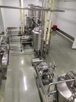 Complete automatische NFC rauwe gemengde mangosap productielijn fabriek