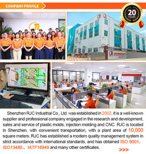 خدمة قولبة بالحقن لقوالب حجر الرصف الزخرفي للحدائق، مادة PMMA، معتمدة بشهادة ISO9001، ماركة RJC، قاعدة قالب LKM.HASCO - Product Image 5