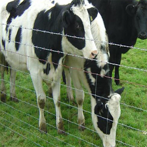 Recinzione Agricola Alta 6 Piedi con Pali in Acciaio PVC Adatti per Cani Lunghezza 50m Fornita Direttamente per Uso in Cantiere - Product Image 1