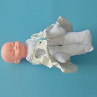 Modèle de bassin féminin pour démonstration de naissance avec cordon ombilical et placenta, pour l'enseignement en obstétrique et gynécologie, conforme CE/ISO