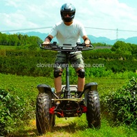 Vente directe d'usine EZRaider, scooter électrique quad à équilibrage pour adultes, robuste, non pliable, RWD 2WD/4WD, 60V 4800W