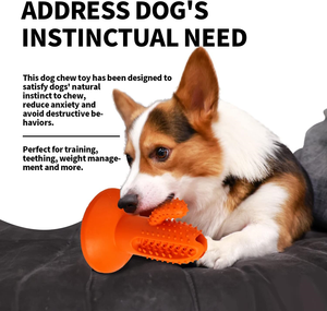 AFP <strong>Wholesale</strong> Nylon Rubber Dog <strong>Chew</strong> Cactus Bone Sticks <strong>Durable</strong> TPR Dental Teeth Clean <strong>Pet</strong> <strong>Chew</strong> <strong>Toys</strong> for Long-lasting Chewing Fun - Product Image 5