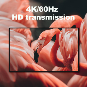 Xput Многофункциональная док-станция с 4 портами, четыре экрана, 4 К60 Гц, независимые дисплеи PD100W, Совместимость с быстрой зарядкой, MacOS - Product Image 3