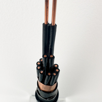 Flammhemmendes Kupferkabel PVC-Isolierung Kupfergeflecht-Abschirmung Stahlband-Armiert 4*2,5mm Mehradriges Stromsteuerkabel Schwarz