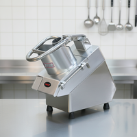 Horus Professionele Groente- en Fruit Snijmachine Industriële Kwaliteit Eenvoudig te Gebruiken Groenteverwerkingsinstallatie Ui Wortel