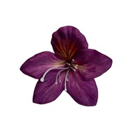 Bunga Bauhinia Buatan, Perlengkapan Kerajinan untuk Kemasan Hadiah DIY, Kotak Permen, Dekorasi Rumah, dan Aksesoris Rambut