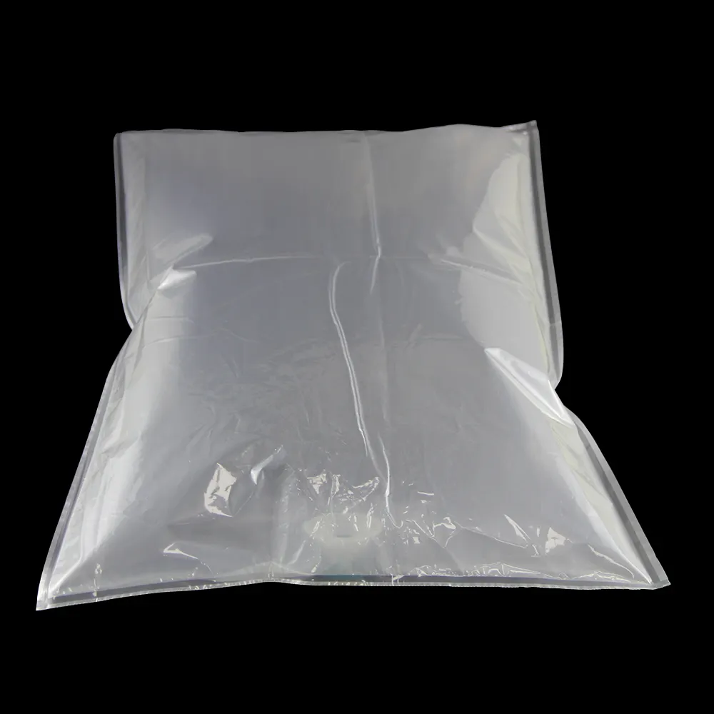 Plastica trasparente FIBC 2l 3l 10l 20kg PE Bag In Box cartone animato personalizzato flessibile latte succo di mela vino imballaggio liquido