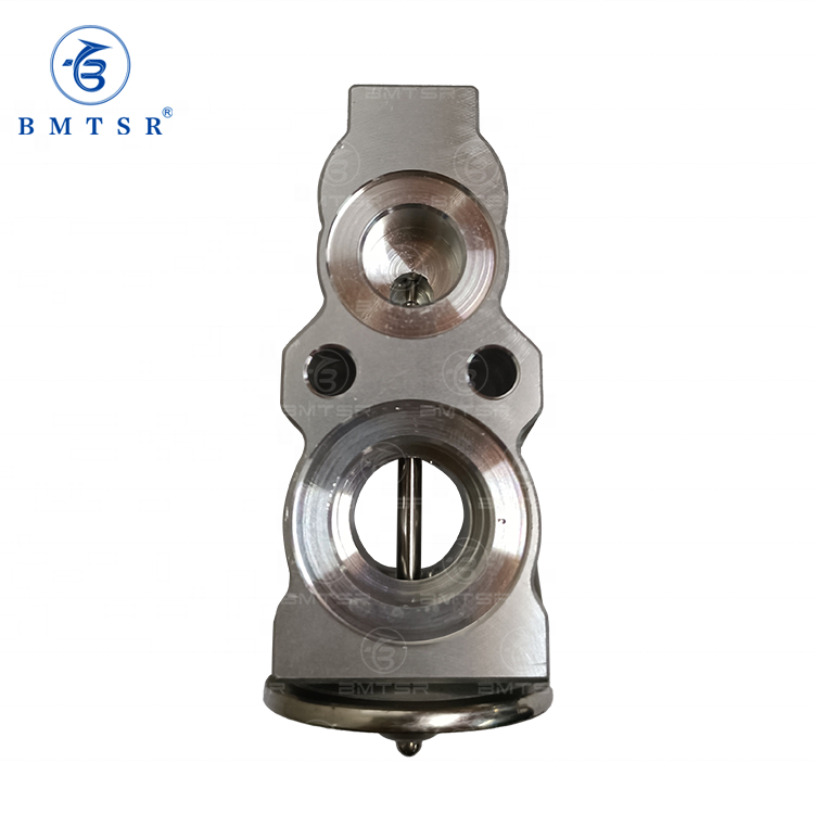 Ren BMTSR Auto Parts - AC Evaporator Expansion Valve 64116994989