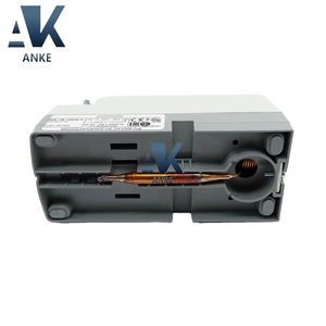 RAK-TW.1000S-H Thermal Reset Limit <b>Thermostat</b> Module Plc - Product Image 1