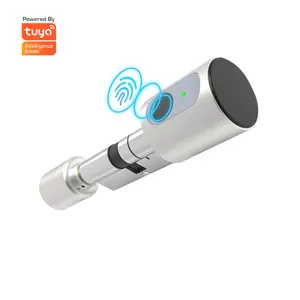 Euro Standard Smart Cylinder with TTlock Tuya APP Adjustable Electronic Fingerprint Card Smart Lock