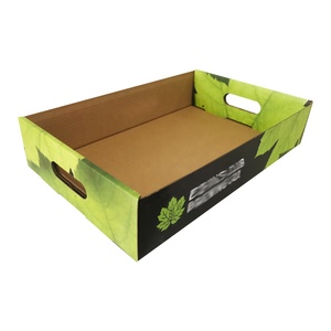 Nhà sản xuất tùy chỉnh hộp sóng tùy chỉnh in ấn giấy các tông khay cho chai nước giải khát bao bì - Product Image 1