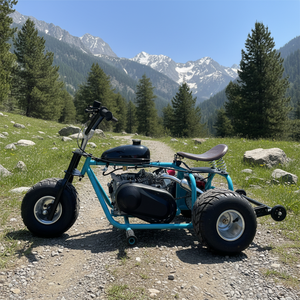 Mini tricycle motorisé personnalisé, nouveau mini vélo 2026, 212cc, 8,5 ch, 4 temps, kart à essence, transmission par chaîne, tout-terrain - Product Image 4