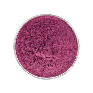 Polvo de Jugo de Arándanos Personalizable a Granel, Extracto Herbal Instantáneo Soluble, Extracto Natural de Frutas, Vitamina, Grado Alimenticio, en Tambor - Product Image 2