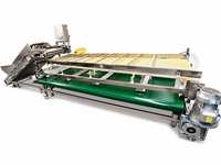 Fabriekslevering XINCHUAN XC-serie Multifunctionele Automatische Fruit- en Groentesorteermachine voor gebruik op de boerderij