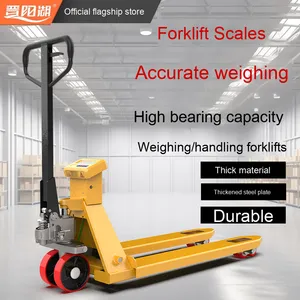 Vendita all'ingrosso nuova condizione digitale carrello elevatore bilancia 2 Ton & 3 Ton <span class=keywords><strong>transpallet</strong></span> mano con idraulico manuale carrello elevatore elettrico - Product Image 6