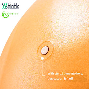 Palla da Yoga/Pilates/Balance Ball Zhensheng con Design Personalizzato Stile Harmony e Stampa Logo Personalizzata Certificata REACH - Product Image 4