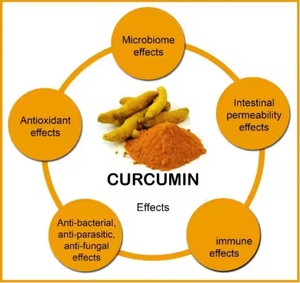 OEM/ODM tùy chỉnh Curcuma longa gốc nghệ Curcuma 95% Hữu Cơ tinh khiết NGHỆ CURCUMIN bột - Product Image 5