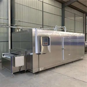 1 tấn/giờ iqf Blast đường hầm Tủ đông nhanh chóng đóng băng máy cho rau cho phòng lạnh lưu trữ - Product Image 1