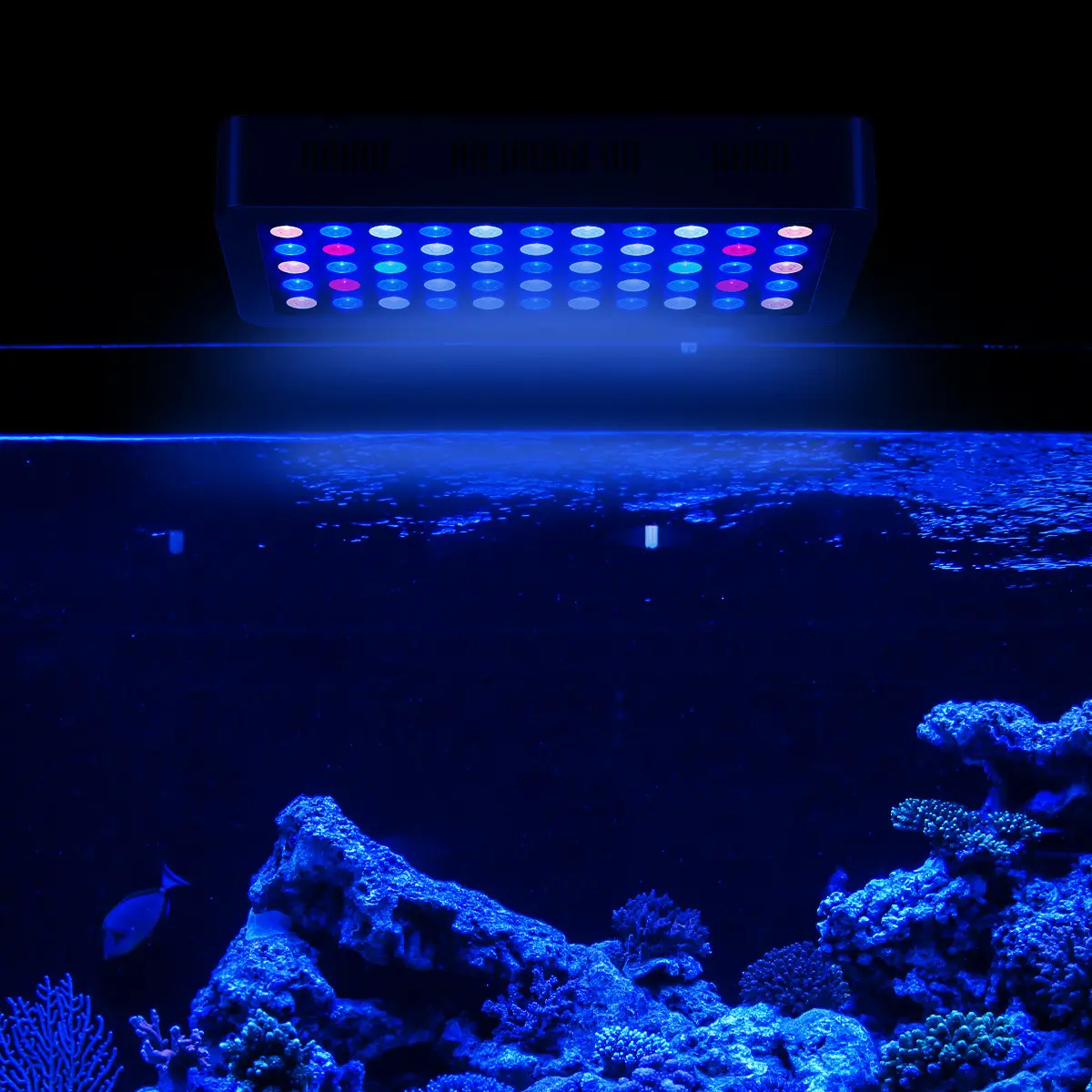 2019 Groothandel September Korting Intelligente Dimbare 165W Koraalrif Mariene Led Aquarium Verlichting Voor Aquarium