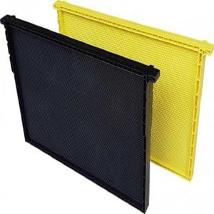 全新设计无缝PP塑料蜂框带蜂蜡蜂基板483x232mm多色 - Product Image 2