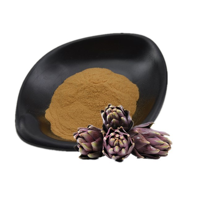Manufacturer Supply Hot Selling Artichoke Leaf