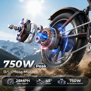 OEM/ODM Stock Ready VARUN 65km Range 20" Fat <b>Tire</b> e-bike Peak 750W 40km/h Full Suspension Outdoor Rides Women EU Warehouse - Product Image 3