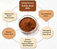 Extrait de Shilajit 40 % Acide Fulvique Source Minérale Matière Première pour Formulation avec COA Échantillon Biologique Disponible
