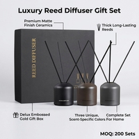 Ensemble diffuseur de parfum en céramique écologique de luxe avec logo personnalisé, usine OEM pour cadeaux d'entreprise, vente en gros