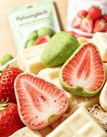 Top gewaardeerde pure chocolade aardbei gevriesdroogde premium zoete snack heerlijke bulkverpakking