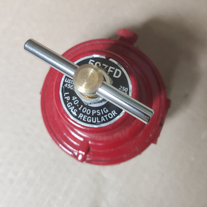 Válvula Reductora de Presión de Gas Propano REGO 597FD DN8, Válvulas de GLP <span class=keywords><strong>para</strong></span> Cocinas de Pescado, Regulador Neumático de 1/4, Capacidad de 102 kg/h - Product Image 4