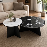 Table basse moderne haut de gamme avec plateau en marbre et structure métallique, design durable, écologique, mobile, facile à assembler, idéale pour les petits appartements, luxe