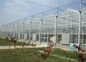 Agricultural Greenhouse Multi Span Glass Greenhouse Hydroponic Greenhouse Growing System