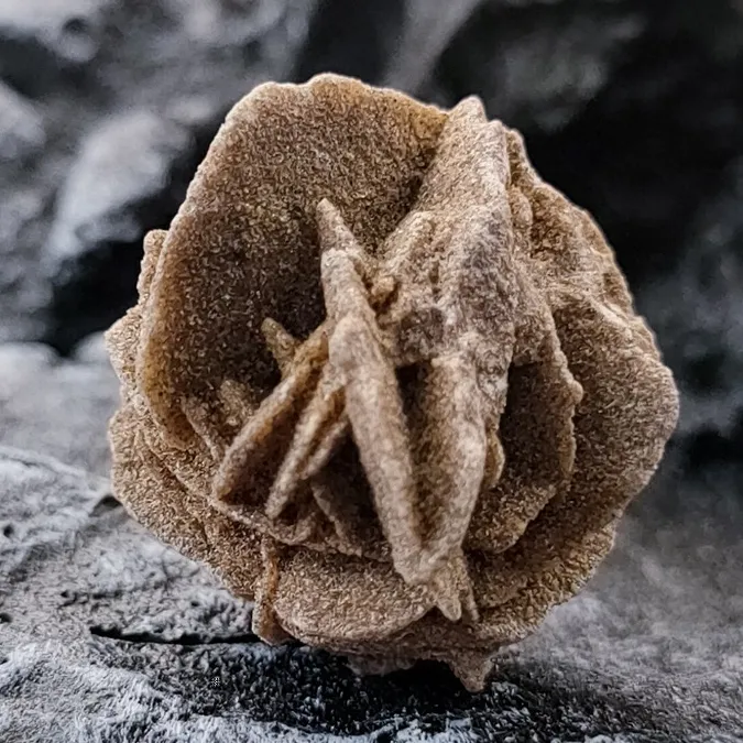 Fas çöl gül taş mineral kristal cevheri örneği kristal ham taş koleksiyonu