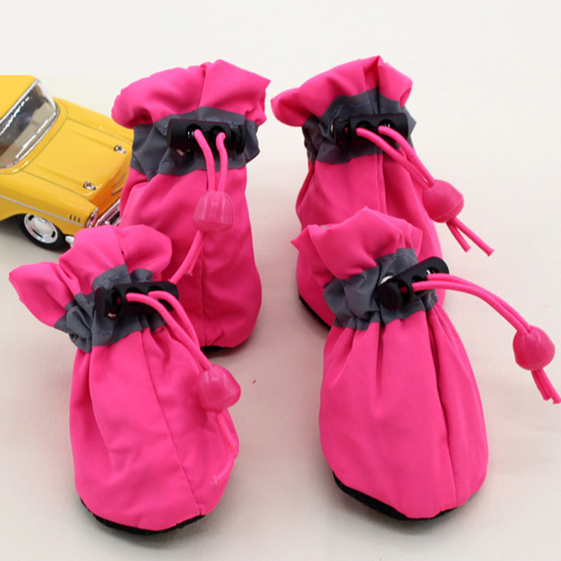 Rosa Primavera/Estate