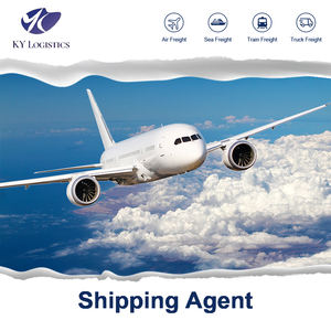 Dhl Drop Deutschland в море Австралия Lcl Germany проверенный Guangzhou Cif Ddp индийский Марокко Канада судоходный агент - Product Image 4