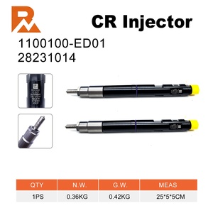 Inyectores Common Rail CR 28231014 1100100-ED01 para Motor GW4D20 VD200 - Product Image 1