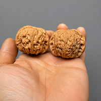 Paire de têtes de lion Mopan en noyer Wenwan naturel de qualité supérieure, noyaux de noyer à 2 nervures assortis à la main pour collection et exposition