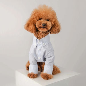 세련되고 우아하며 튼튼한 애완동물 봄옷 강아지 액세서리 고급 애완동물 의류 - Product Image 1