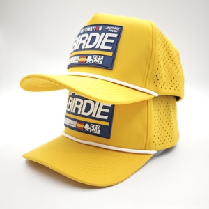 Pristine Oxford Sporty 5 Panel Solid <b>Waterproof</b> Golf Cap Custom Silicone Logo Low MOQ OEM Laser Perforated Flexible Production - Product Image 2