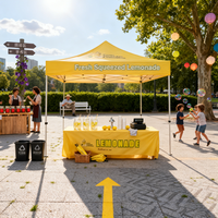 Tente de réception extérieure Sunshine Double 10x10 FT, robuste, avec parois latérales, protection imperméable, logo personnalisé, conception gratuite