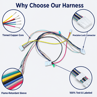 Harness Kabel Tegangan Rendah Kustom PVC 12V 24V untuk Sistem Bantu Kendaraan Listrik Sensor BMS