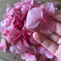 Kelopak Bunga Dekorasi Pernikahan Berkualitas Tinggi Warna Sesuai Pesanan, Daun Besar Kelopak Hydrangea Untuk Konfeti Pernikahan Dekorasi Pesta