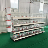 Cage à poussins et poulets de chair à petit prix avec système d'abreuvement automatique à vendre