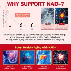 SOLOTREE Nad Resveratrol Stick Anti-âge Nad Nicotinamide et Resvératrol Boosts NAD + Lequid Strick - Product Image 3