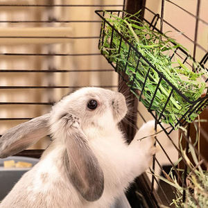 Porte-foin JH-Mech avec deux crochets supplémentaires pour réduire les déchets en économisant beaucoup d'herbe Mangeoire à foin pour lapin en métal - Product Image 6